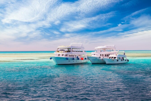 Snorkeling Day Trip to White Island in Sharm El Sheikh