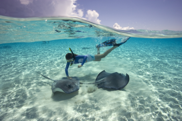 Snorkeling Trip to Tiran Island in Sharm El-Sheikh