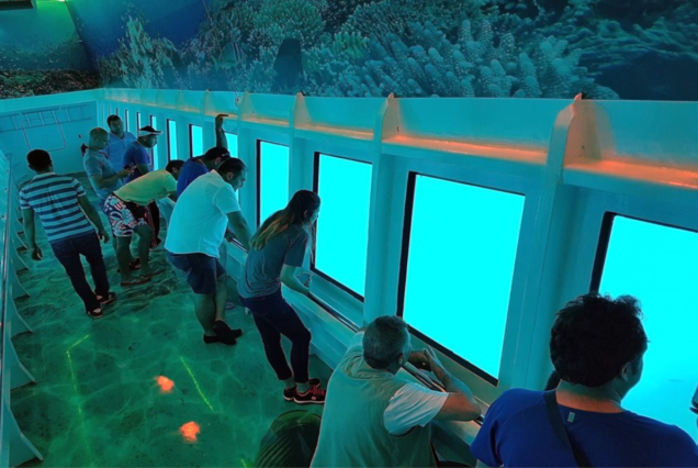 Submarine Tour in Hurghada